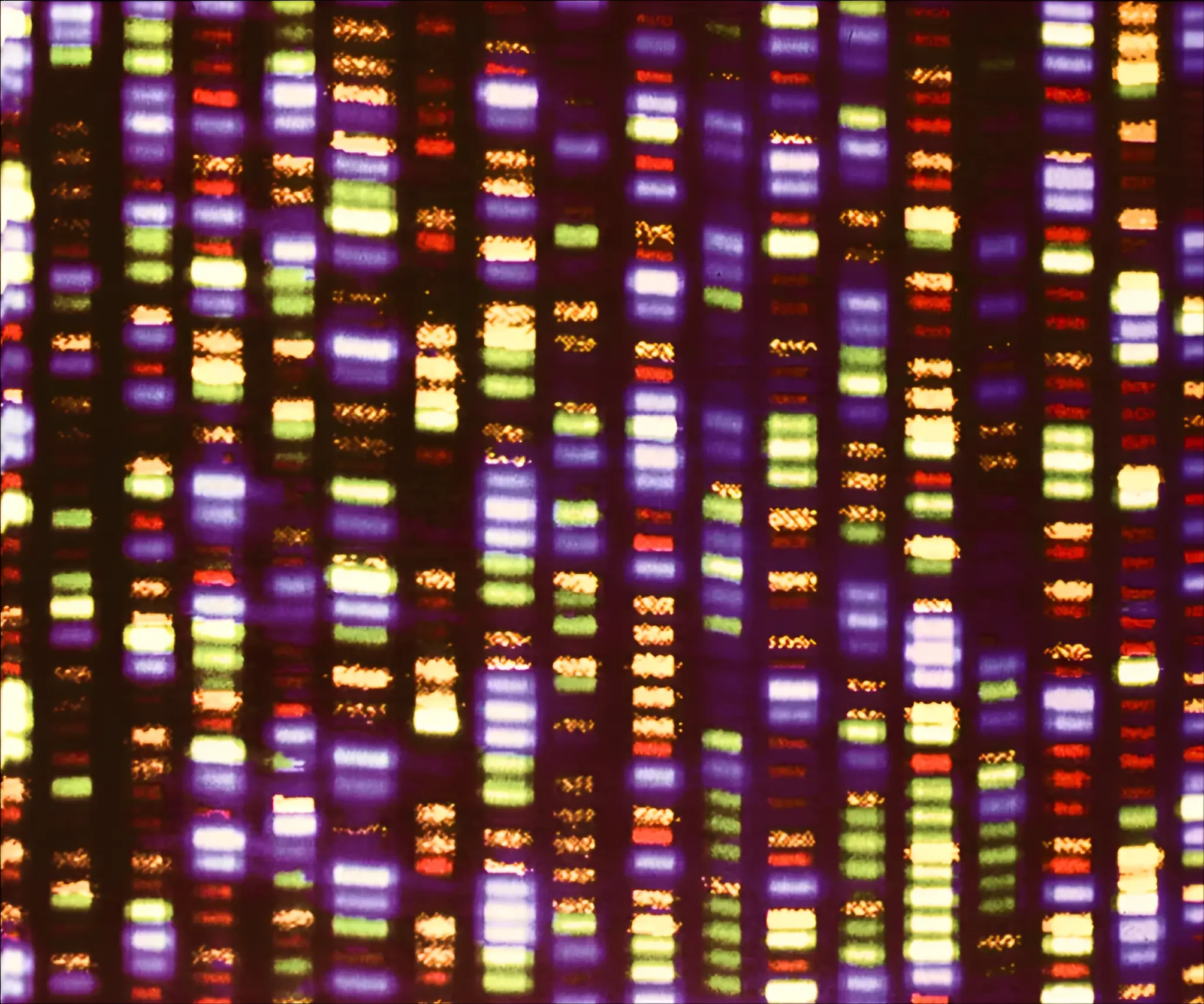 Amplicon Sequencing