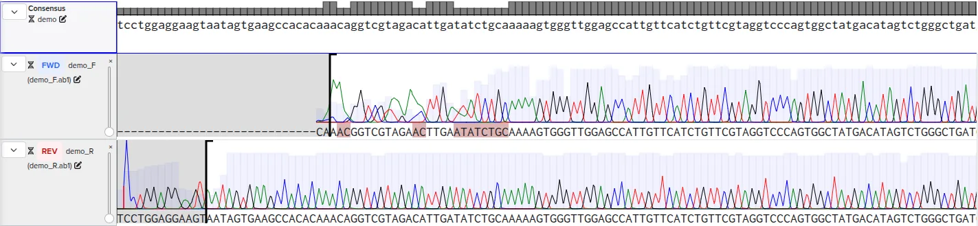 Sample output — Chromatograms