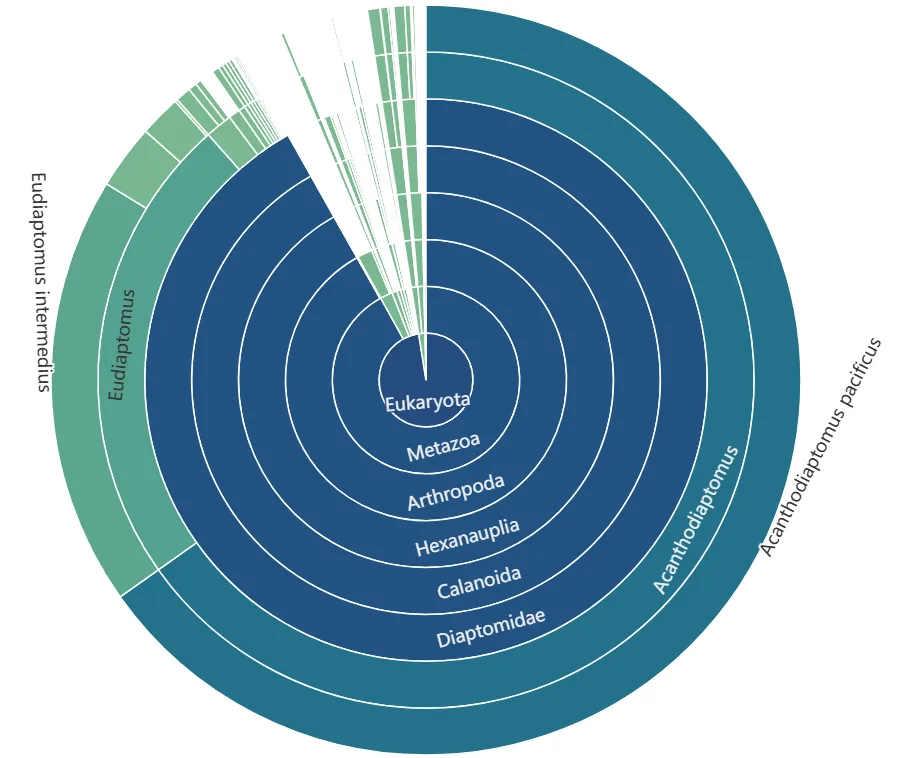 Sample output — Sunburst Chart