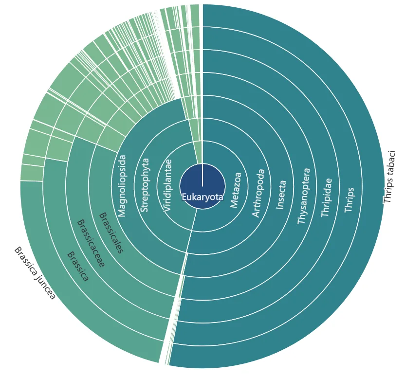 Sample output — Sunburst Chart
