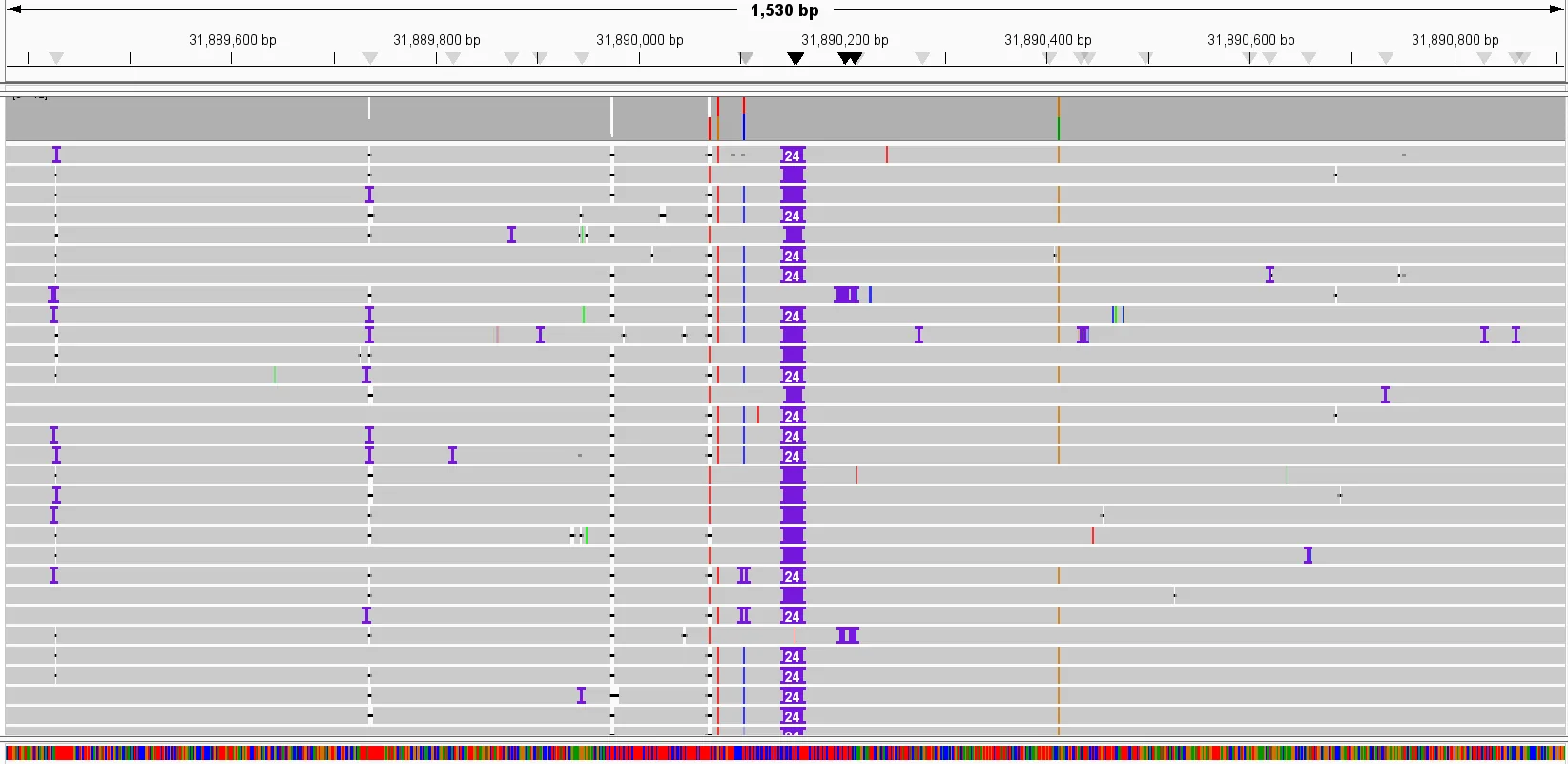 Sample output — Aligned Read Files
